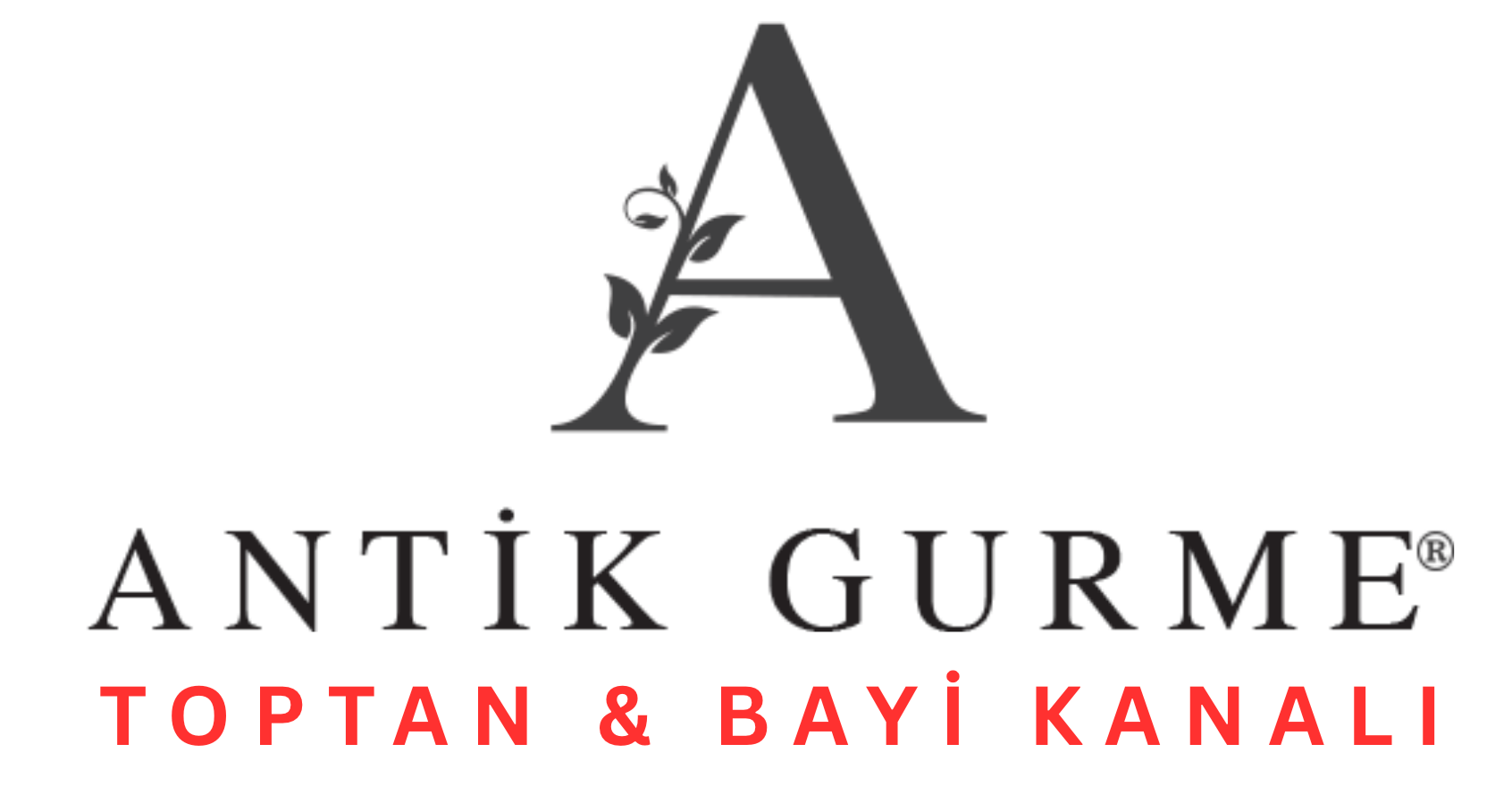 Antik Gurme Bayi